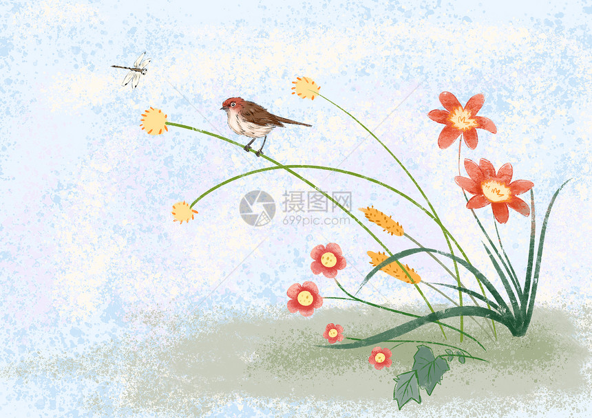 水墨的鸟和蜻蜓和花图片
