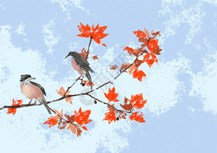 枫树上的鸟水墨枫树植物高清图片