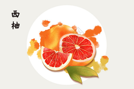 水果西柚插画图片