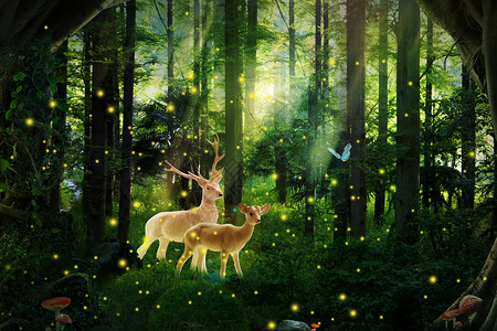 小女孩和萤火虫梦幻森林设计图片