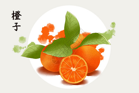水果橙子插画背景图片