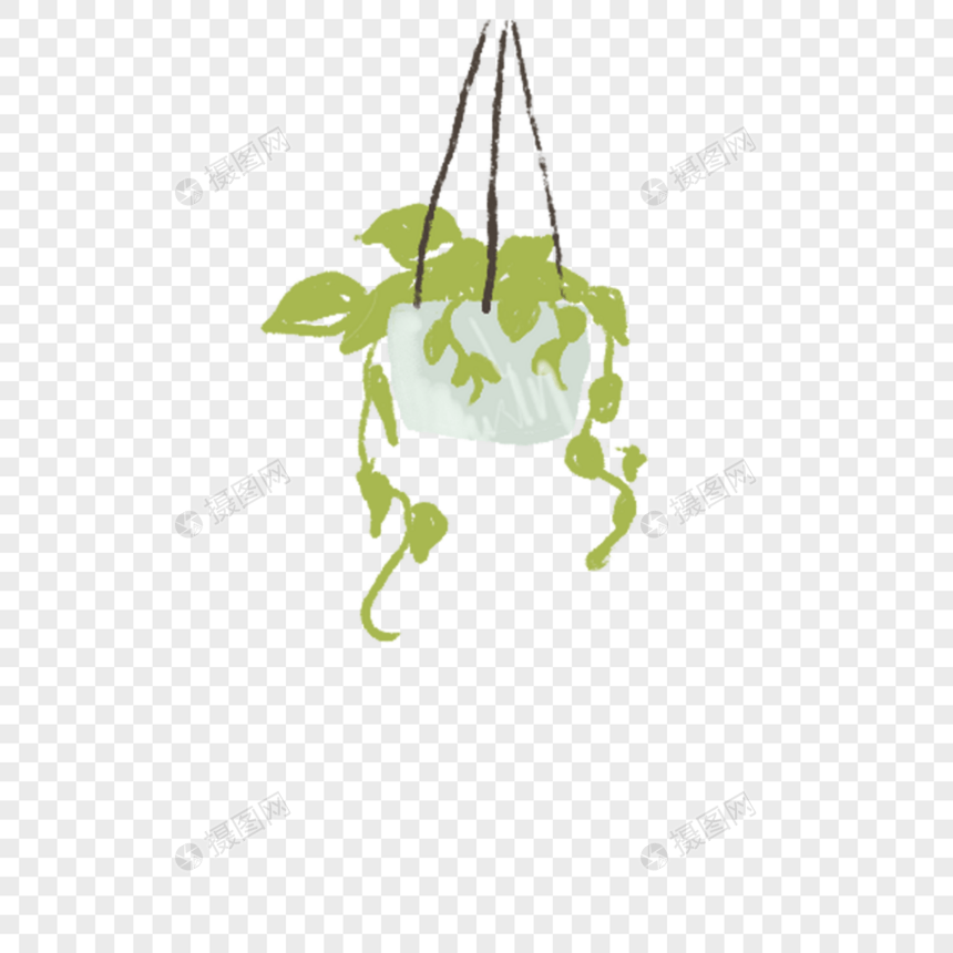 盆栽吊篮图片