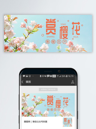 樱花与蓝天赏樱花公众号封面配图模板