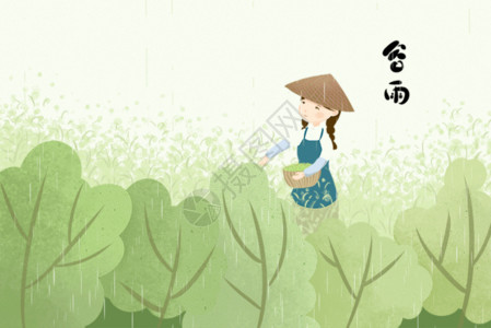 绿色清新茶园唯美插画谷雨采茶GIF高清图片