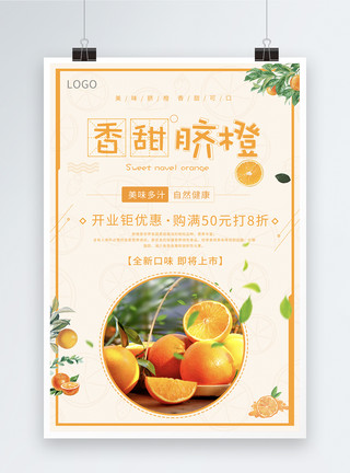 总理买的脐橙香甜橙子脐橙促销海报模板