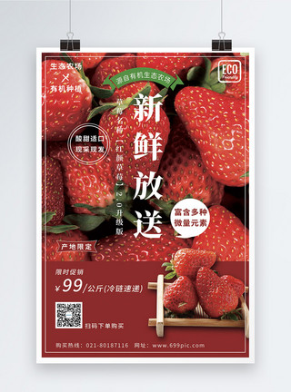 绿色原生态新鲜水果草莓海报模板