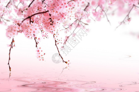 鸡鸣寺樱花美景春季樱花风景设计图片