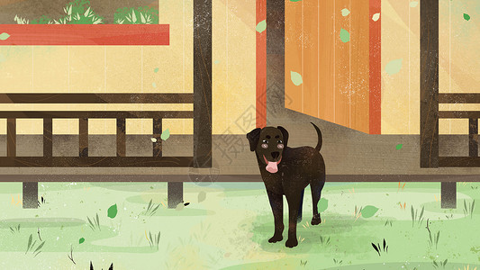 室外长椅小清新狗狗站在院子宠物插画插画