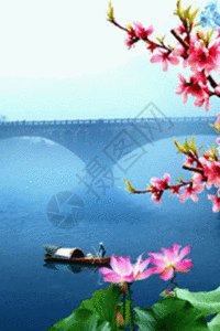 划船梦游竹海仙境h5动态背景素材图片