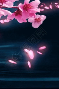 粉色百折扇水墨江南水乡梅花扇子花瓣h5动态背景素材高清图片