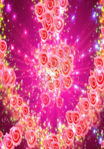 花瓣爆炸心形玫瑰情人节婚礼婚庆背景高清图片