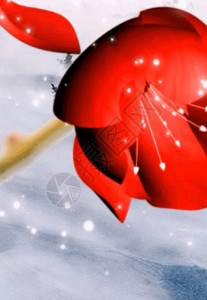 红梅赞中国风红色背景高清图片