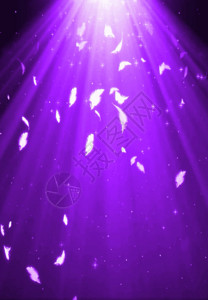 新品发布会展板模板唯美紫红羽毛舞台晚会背景高清图片