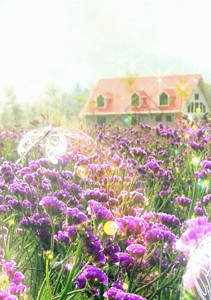 炫彩花朵光效薰衣草花园背景高清图片