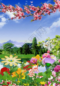 日本美丽花园花草背景高清图片