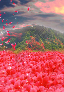 长绒棉棉花花朵满山红艳艳映山红唯美杜鹃花背景高清图片