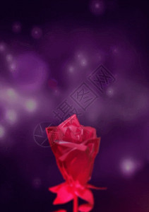 紫色玫瑰花花环玫瑰花花瓣梦幻情人节婚礼婚庆背景高清图片
