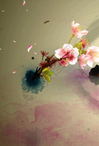 粉色打碗花江南水乡蝴蝶花瓣中国风背景高清图片