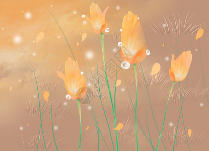 黄橙色小太阳花朵插画插画