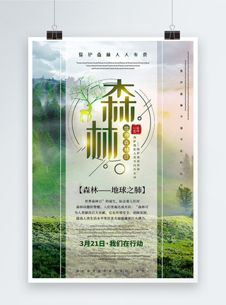 森林之王简洁大气世界森林日公益宣传海报模板