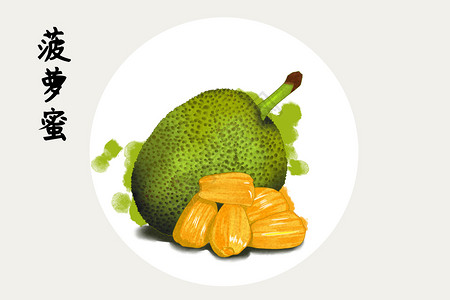 水果菠萝蜜插画背景图片
