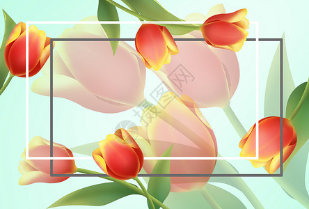 花卉背景插画背景图片