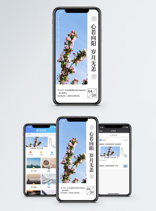 春暖花开日子心情日签手机海报配图模板
