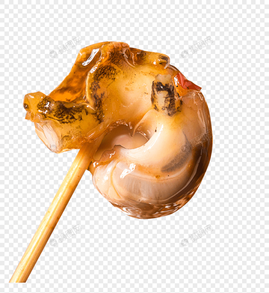美味海螺肉图片