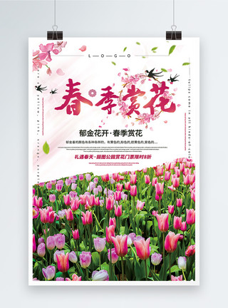 五颜六色花简洁大气春季赏花促销海报模板