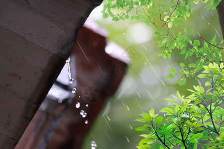 凄凉的清明节的雨设计图片