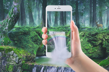 亚马孙热带雨林手机中的魔幻森林设计图片