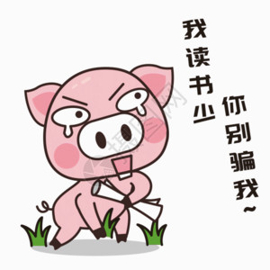 粉红色嚏根草猪小胖GIF高清图片