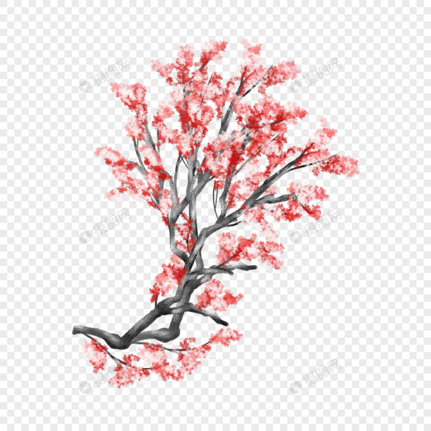 红色樱花枝图片