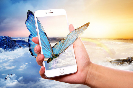 蜻蜓蝴蝶手机里的仙境设计图片