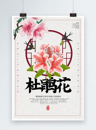 中国风杜鹃花海报模板
