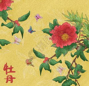 中国风花卉牡丹图背景图片
