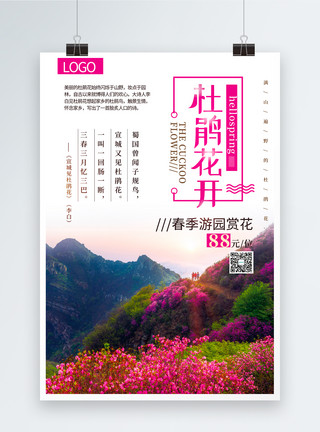 中山植物园杜鹃花开春季游园赏花海报模板