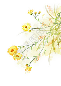 雏菊水彩花卉背景图片