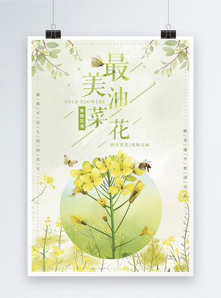 盛开的春天最美油菜花赏花旅游海报模板