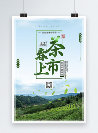 有意境的禅茶红茶春季春茶上市海报模板
