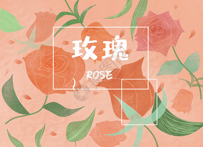 花卉玫瑰百花手绘高清图片