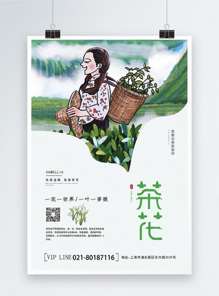 采茶的姑娘茶花海报模板