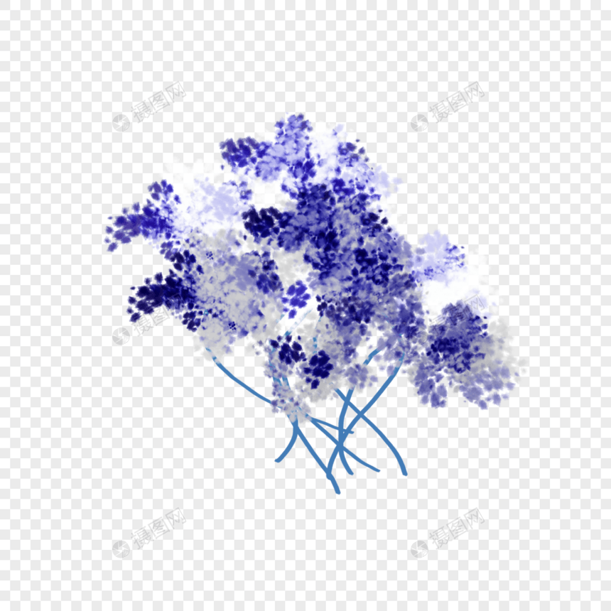 干花花卉植物装饰图案图片