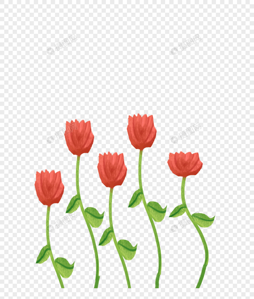 花卉干花插画图案图片