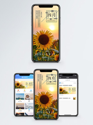 阳光花素材心情日签手机海报配图模板