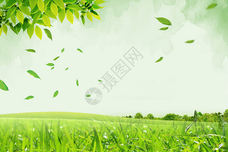 春天中国春季绿色草地设计图片