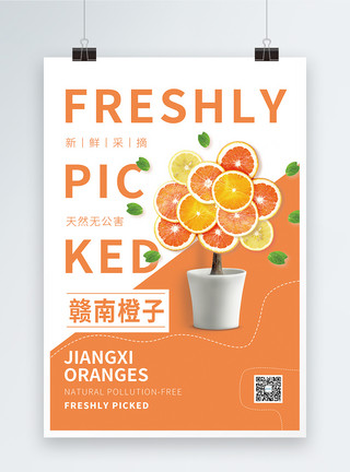 赣南橙子水果促销宣传海报模板