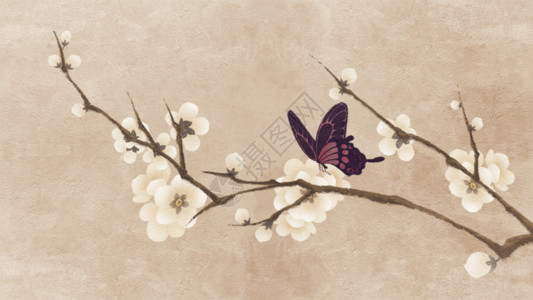 停在花上的蝴蝶中国风春日蝴蝶飞舞插画gif动图高清图片