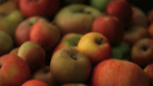 红色的果实苹果GIF高清图片
