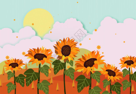 同一地点的四季向日葵的秋天GIF高清图片